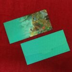 Paper Peacock Printed Velvet Finish Shagun Envelopes Tuck Flap Lifafa for Gifting Sagan Wedding Occasion Cash Money, 19 X 9.5 cm, Pack of 10, Gold Foil Stamping, Royal Green Color